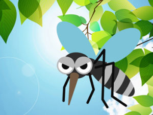 フィラリア・ノミ・マダニ対策