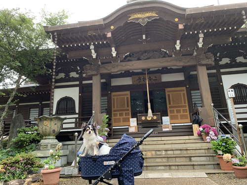 二本松寺の本堂