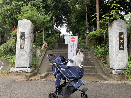 二本松寺境内へ続く階段