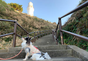 犬吠埼灯台までの階段